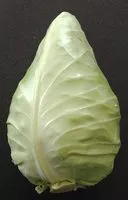 Mängden socker i Cabbage