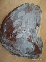 Palmera de cacao