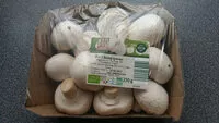 Mängden socker i Bio Champignons