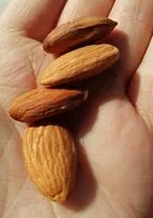 Mängden socker i Amandes décortiquées