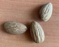 Mängden socker i Amandes décortiquées