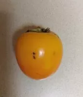 Mängden socker i Kaki