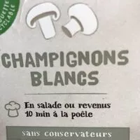 Mängden socker i Champignons blancs