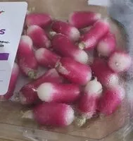 Mängden socker i Radis équeutés