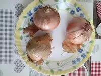 Mängden socker i oignons