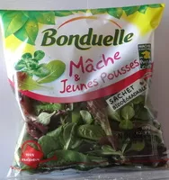 Mängden socker i Mâche & Jeunes Pousses