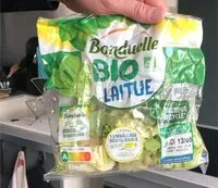 Mängden socker i Salade bio laitue