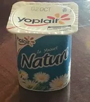 Mängden socker i Nature - texture ferme