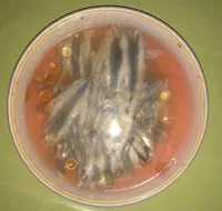 Mängden socker i Filets d'Anchois Marinés à l'oriental