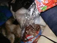 Mängden socker i Ivoria Pere Noel LT Dec.