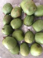 Mängden socker i Minis Kiwi