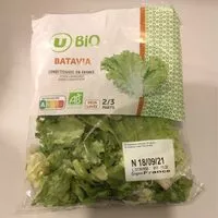 Mängden socker i Salade bio Batavia