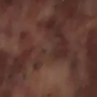 Mängden socker i Farce à légumes