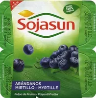 Mängden socker i Yogur  natural arandanos