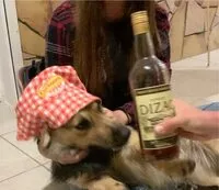 Mängden socker i Rhum vieux agricole