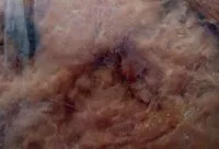 Mängden socker i Panettone