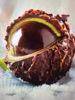 Mängden socker i Chataigne noir (fourré au pralin et pâte d'amande)