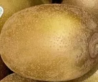 Mängden socker i Kiwi