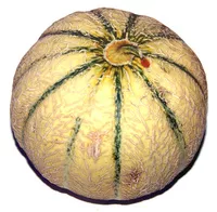 Mängden socker i Melon
