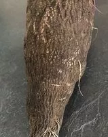 Mängden socker i Radis noir