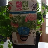 Mängden socker i Cerfeuil