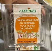 Mängden socker i Radis pourpre bio
