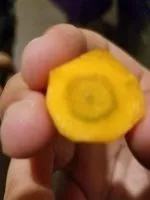 Mängden socker i Miel de Bourgogne France-Compte ACACIA de Bresse