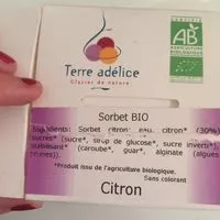 Mängden socker i SORBET CITRON