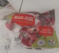Mängden socker i Radis rose