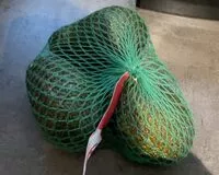 Mängden socker i Avocat