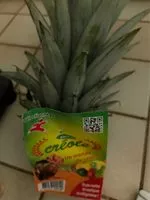 Mängden socker i Ananas