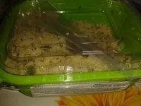 Mängden socker i Taboule à la menthe et aux raisins blonds