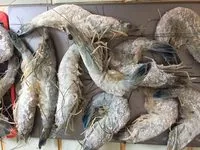 Mängden socker i Crevettes