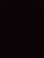 Mängden socker i 800G Le Regal Burger Halal