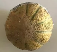 Mängden socker i Melon
