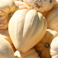 Mängden socker i Cornue d'hiver