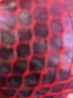 Mängden socker i Oignon rouges