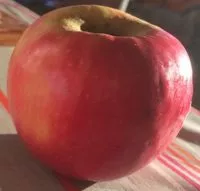 Mängden socker i Pomme