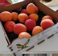 Mängden socker i Abricot