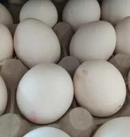 Mängden socker i Oeufs frais blancs de poules élevées en plein air