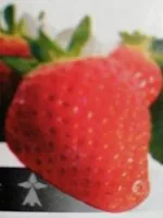 Mängden socker i Fraise