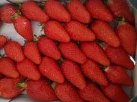 Mängden socker i Fraises guariguettes