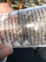 Mängden socker i Yaourt fermier