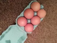 Mängden socker i Œuf plein air boucherie des arcades