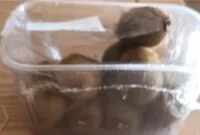 Mängden socker i Kiwi