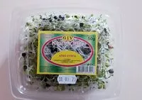 Mängden socker i КЪЛНОВЕ ОТ АЛФА И РЯПА