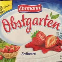 Mängden socker i Obstgarten - Erdbeere