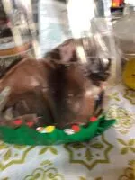 Mängden socker i Lapin chocolat