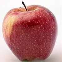 Mängden socker i Red Delicious Apple