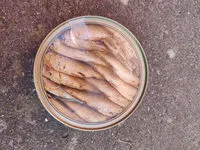 Mängden socker i Gänseleberwurst mit Apfel